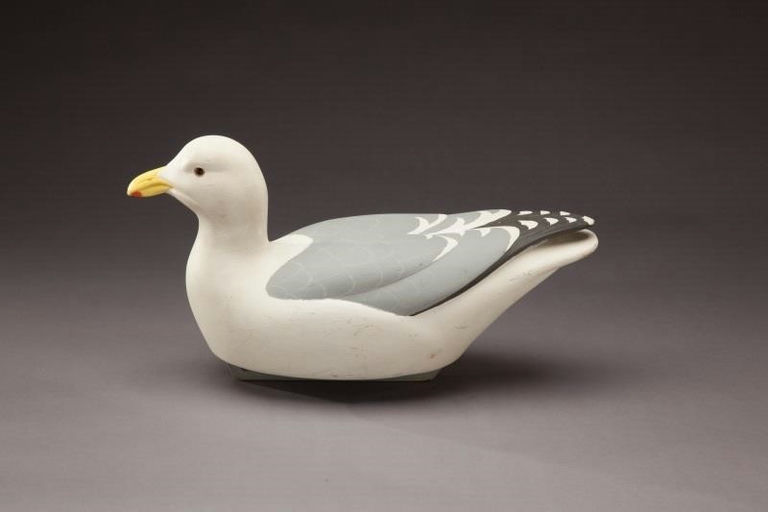 William Schultz – Herring Gull – 2012