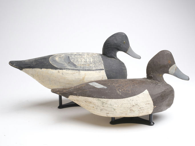 Miles Hancock – Scaup – 2023