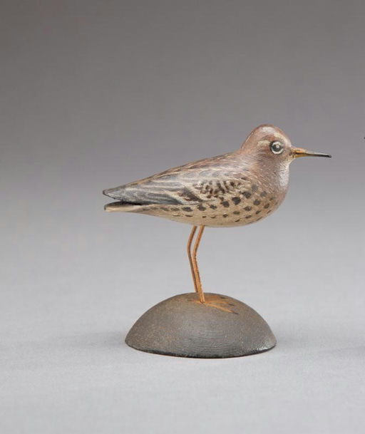 Elmer Crowell – Miniature Purple Sandpiper – 2012