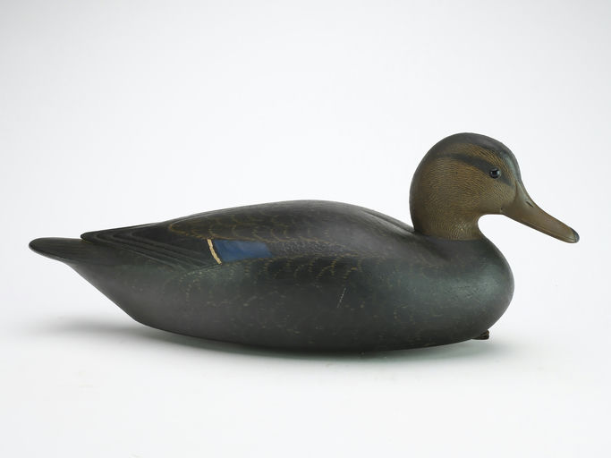 Mark McNair – Hollow carved Black duck – 2024