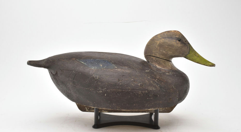 Ward Brothers – Black duck – 2026