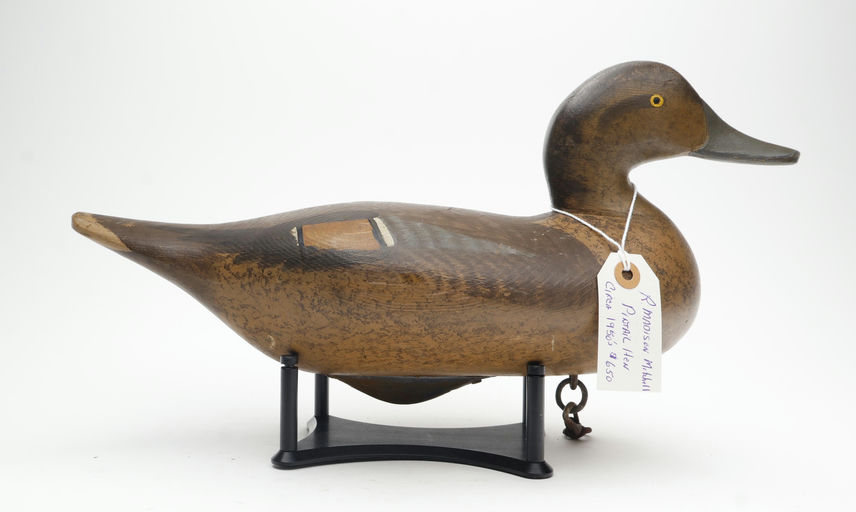 R. Madison Mitchell – Pintail Hen – 2026