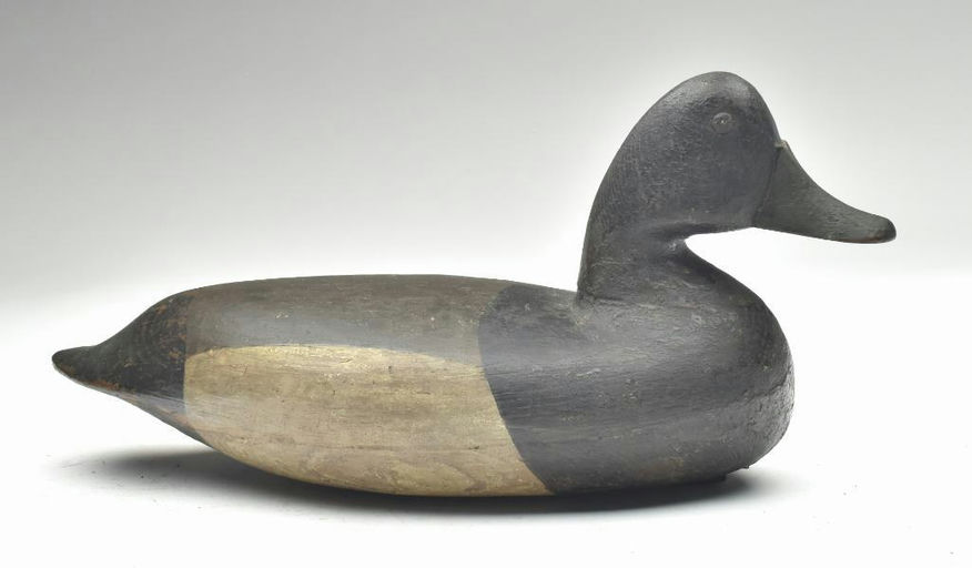 Charles Birch – Scaup – 2023