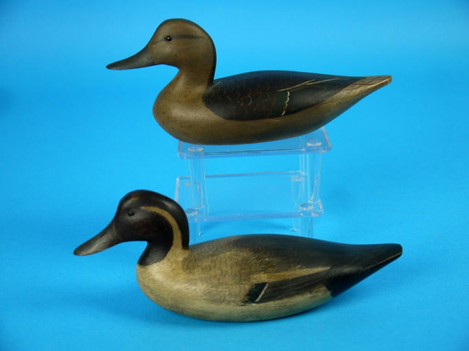 William Bill Johnson – Miniature Pintail Pair – 2026