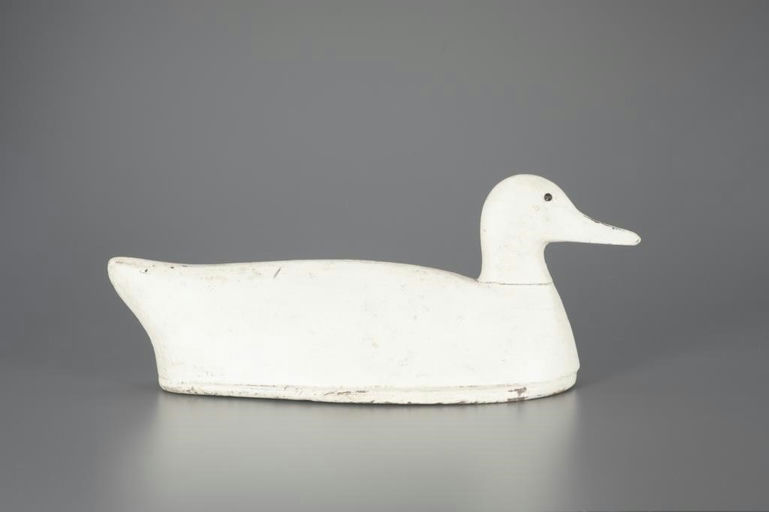 Aubrey Kent – Snow Goose – 2024