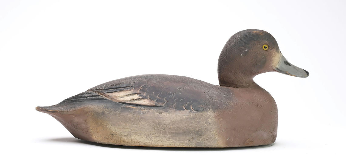 Ben Schmidt – Bluebill Hen – 2025