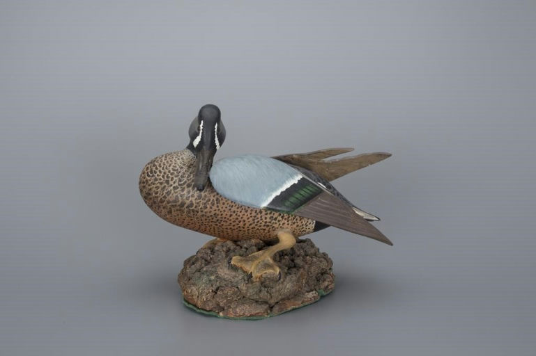 Ward Brothers – "Sunbathing" Blue-Winged Teal Drake – 2017