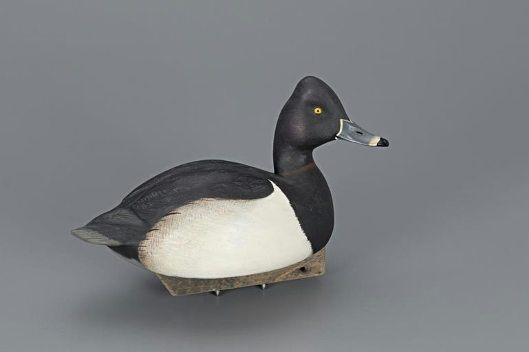 Jim Schmiedlin – Ring-Necked Duck – 2019