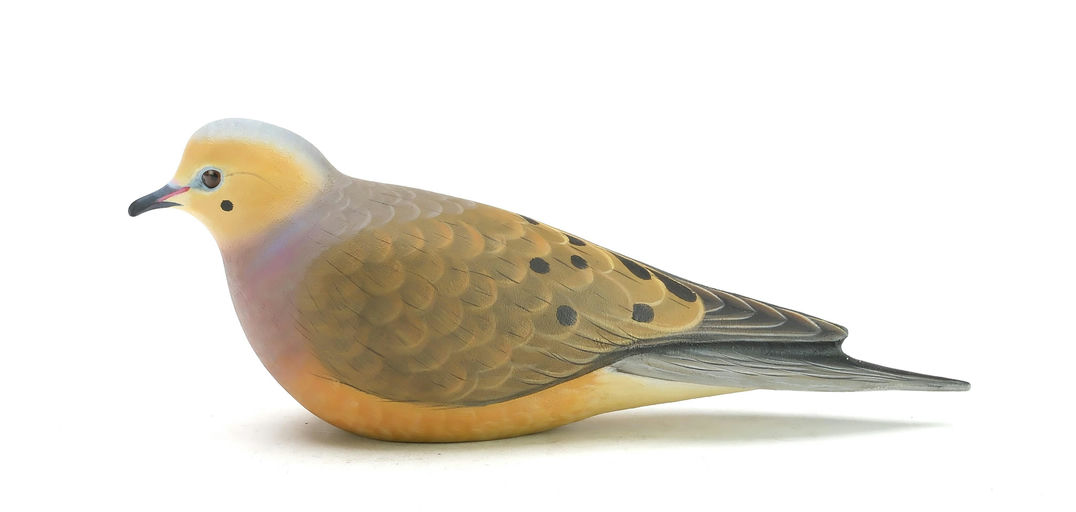 Ben A. Heinemann – Dove – 2025