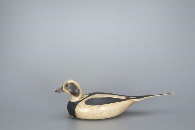 Mark McNair – Long-Tailed Duck – 2017
