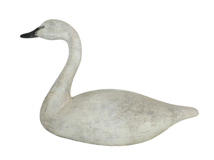 Frank Finney – Large hollow carved swan with raised neck seat – 2024