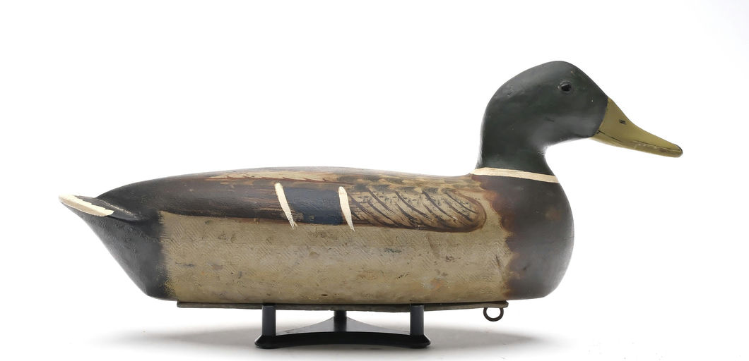 Bert Graves – Mallard – 2025