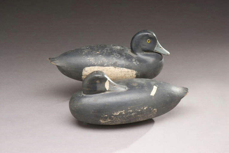 William Quinn – Bluebill Pair – 2010
