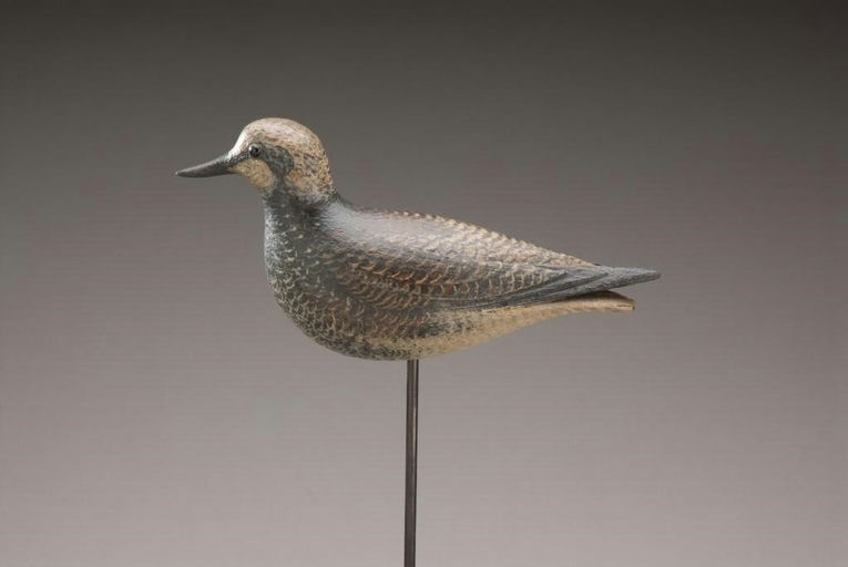 David Ward – Ruddy Turnstone – 2010