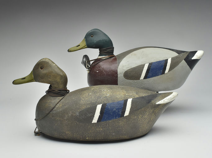 Frank Strey – Mallard – 2023