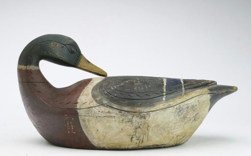 Reggie Birch — Mallard