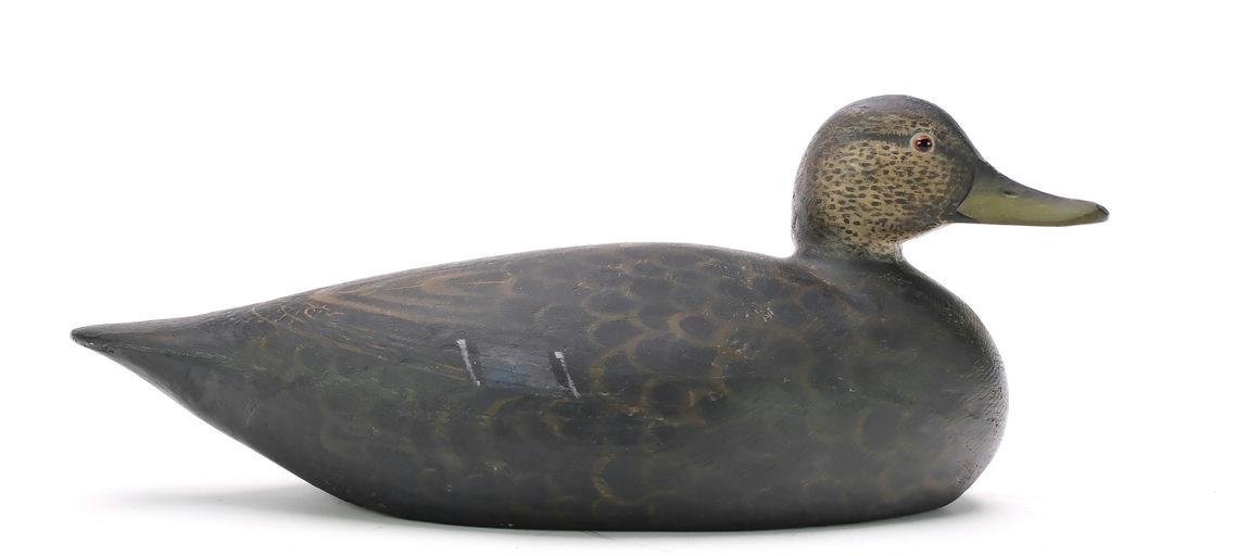 Elmer Crowell – Black Duck – 2024