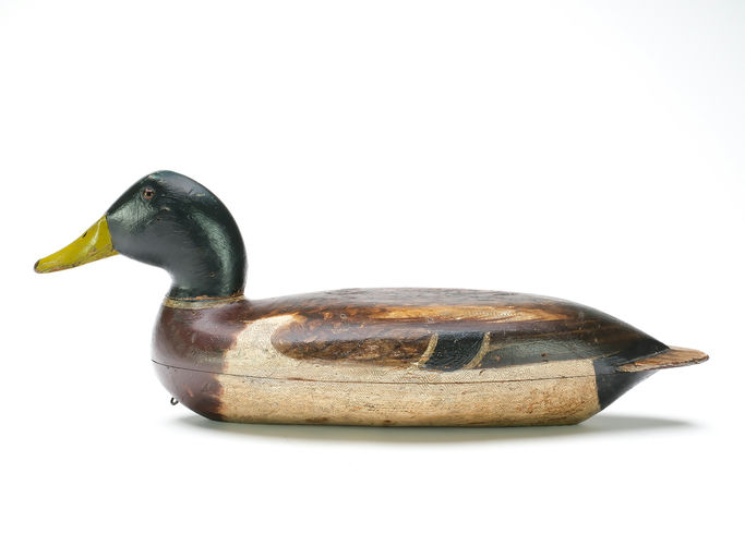 Robert Elliston – Mallard – 2025