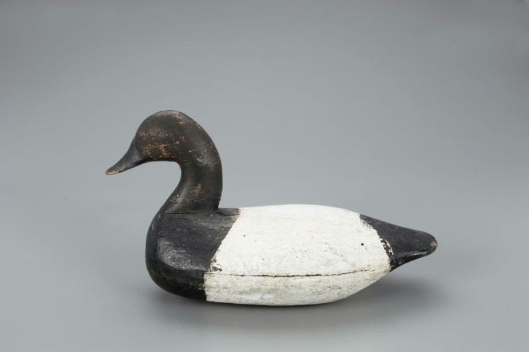 Oscar Carroll – High-head Canvasback – 2021
