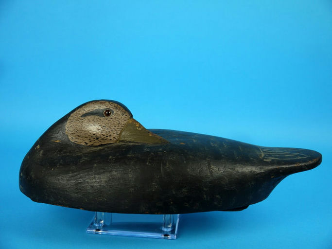 Wildfowler Decoy Company – Black Duck – 2026