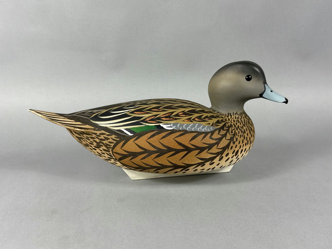 Oliver Lawson – Wigeon – 2026
