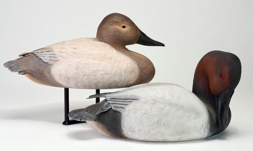 Jon Foster — Canvasback Pair