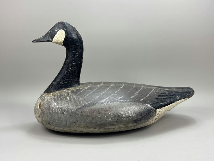 John Glenn — Canada Goose