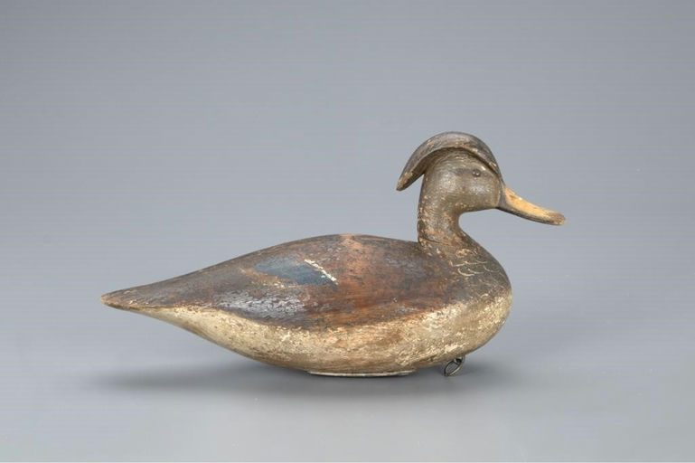 Mark McNair – Wood Duck Hen – 2020