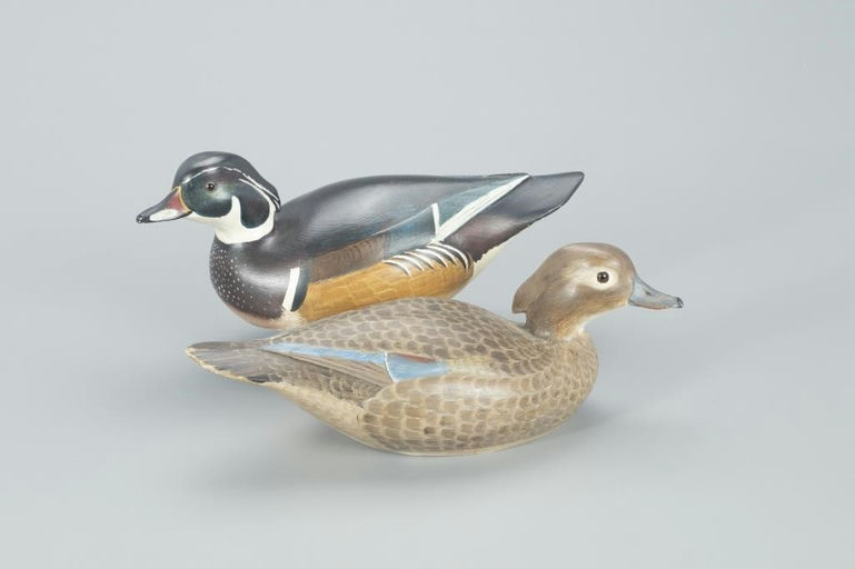 Lloyd Johnson – Outstanding Wood Duck Pair – 2022