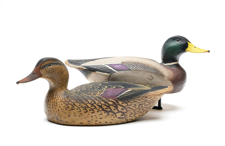 Ward Brothers – Pair of mallards – 2025