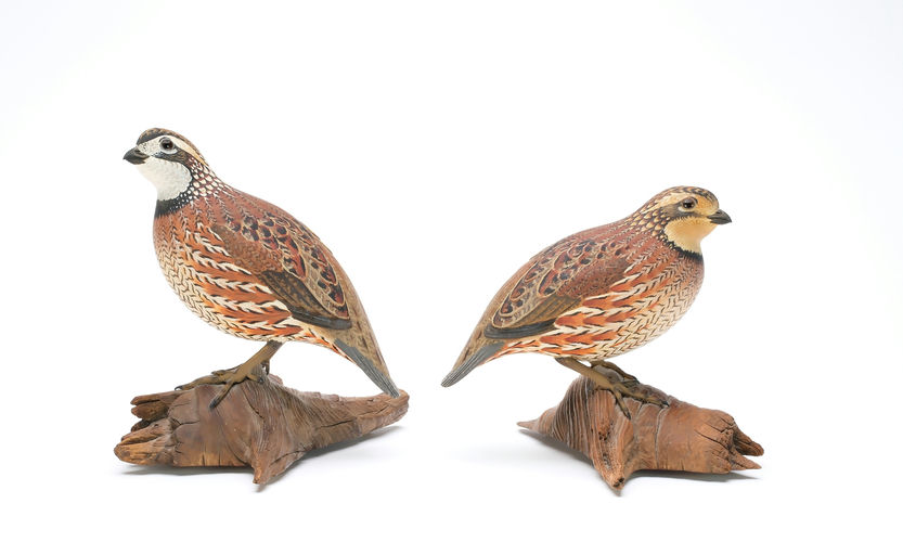 Oliver Lawson – Pair of Quail – 2025