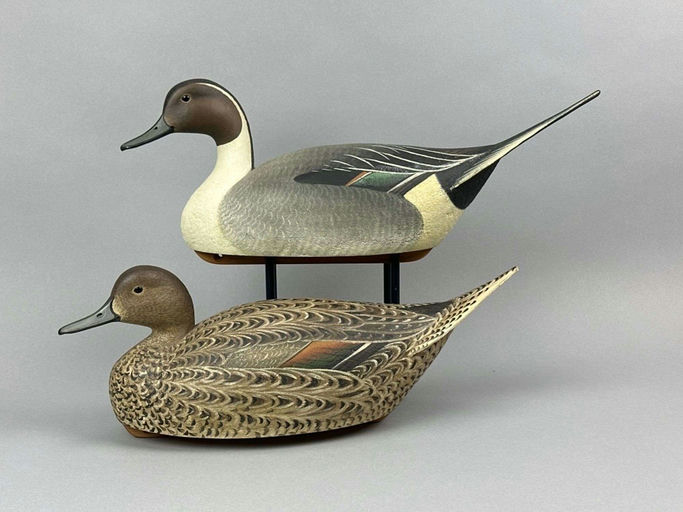 Marty Hanson – Pintail – 2026