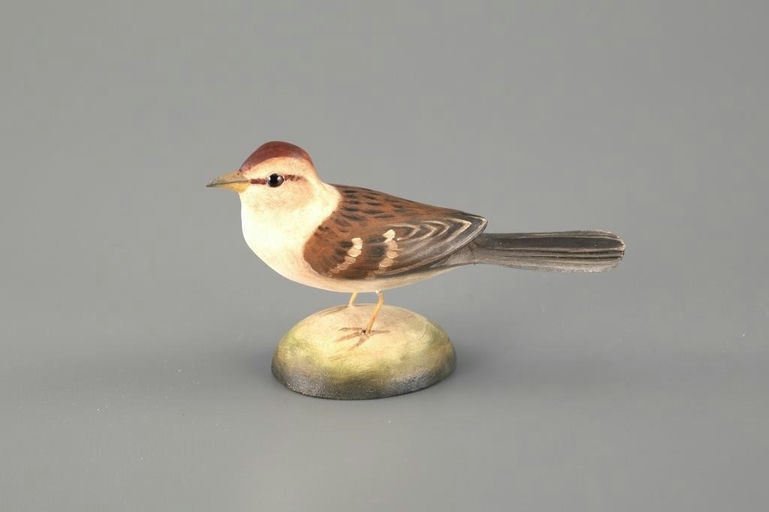 Frank Finney – American Tree Sparrow – 2025