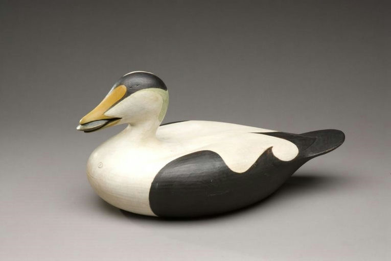 Colin S. McNair – Eider With Mussel – 2009
