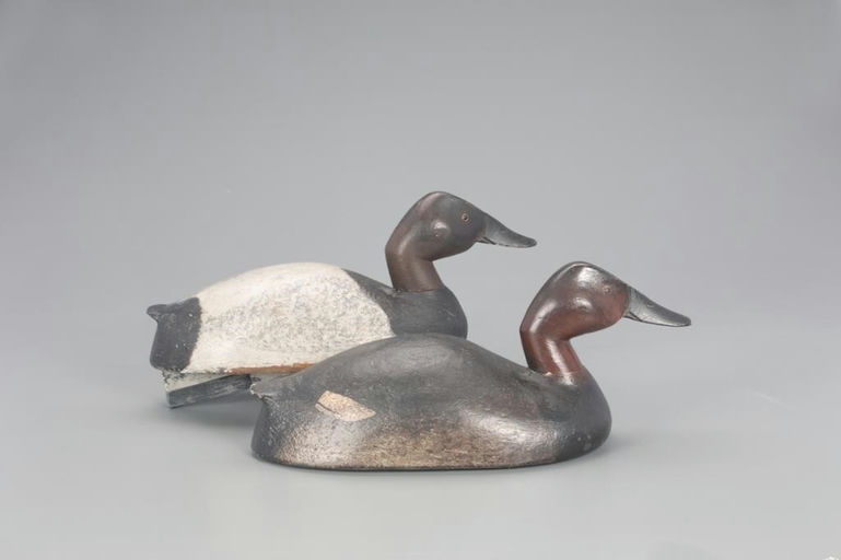 Paul Radamach – Canvasback Pair – 2021