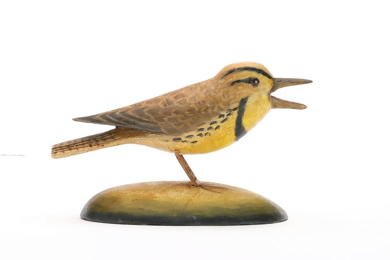 Frank Finney – Miniature meadowlark with an open mouth – 2024