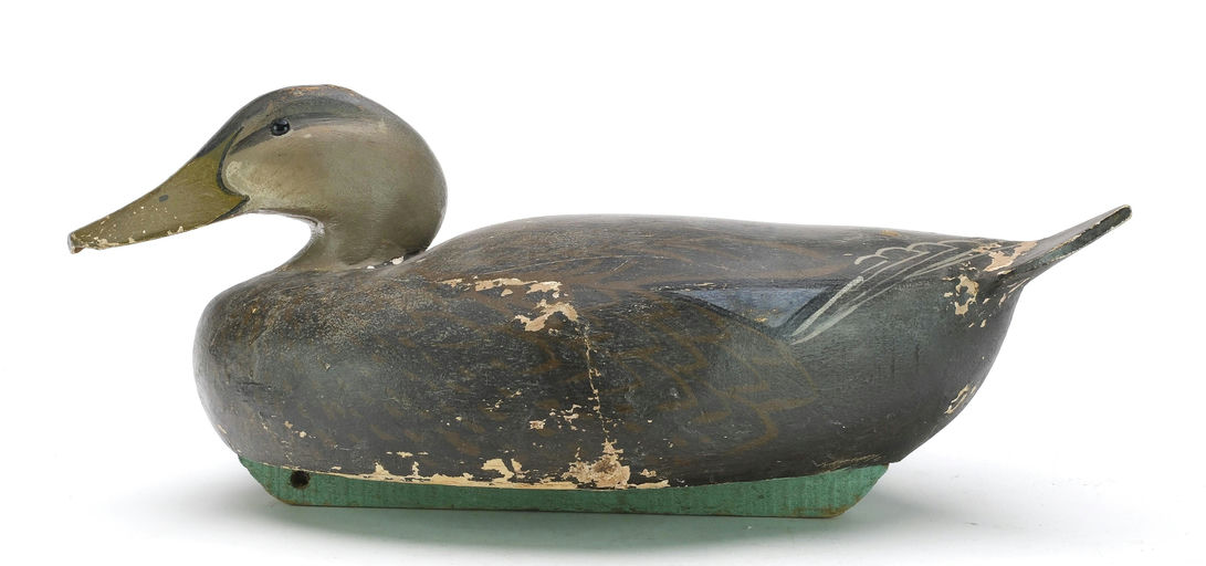 Ward Brothers – Black duck – 2024