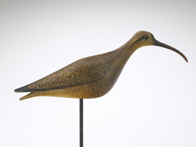 Cameron McIntyre – Eskimo Curlew – 2024