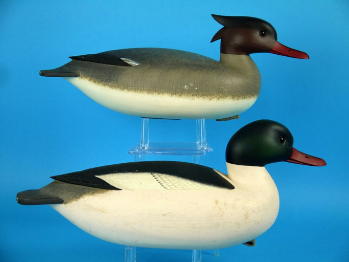 Rick Brown – Common Merganser Pair, – 2026