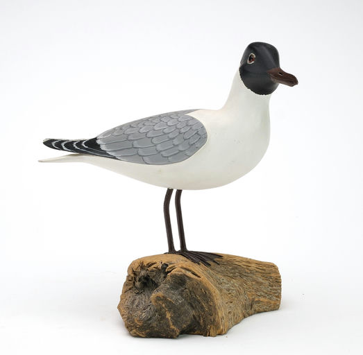 Harry V. Shourds – Gull – 2024