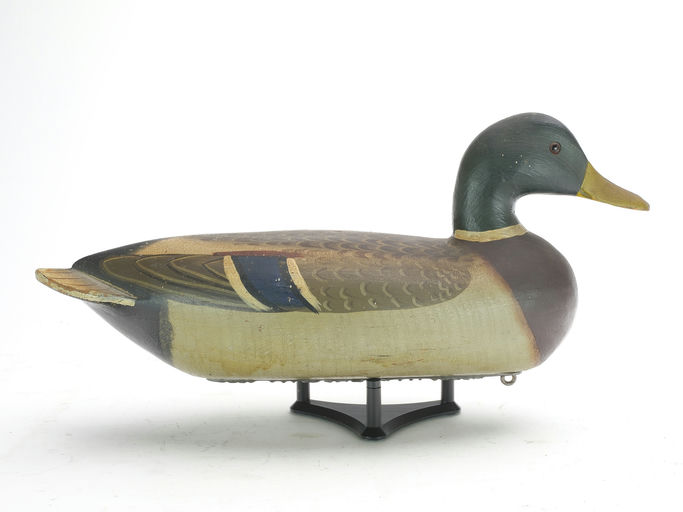 Charles Perdew – Mallard Drake – 2023