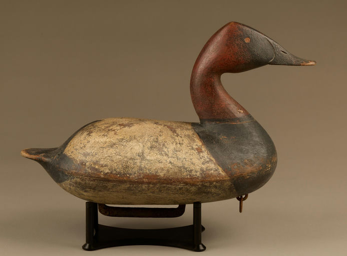 Cameron McIntyre – Canvasback – 2025