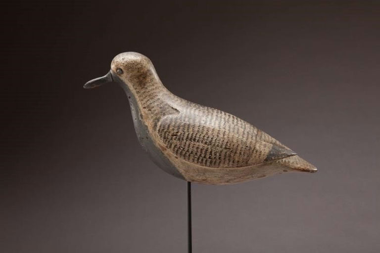 Verity Family – Black-Bellied Plover – 2012