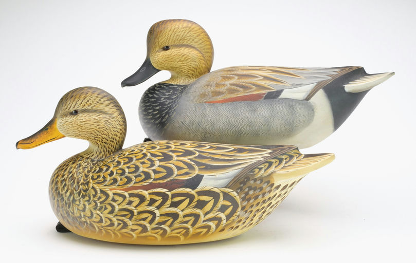 Ben A. Heinemann – Gadwall – 2024