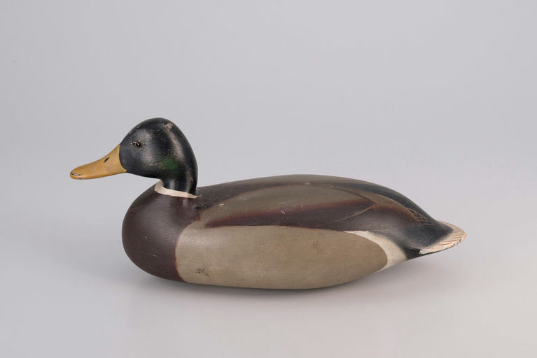 Harry V. Shourds – Mallard – 2026