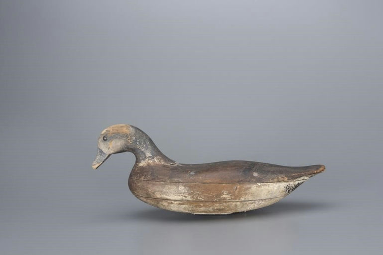 John Blair, Sr. – Swimming Wigeon – 2017