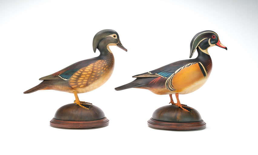 Bill Gibian – Pair of Wood Duck – 2025