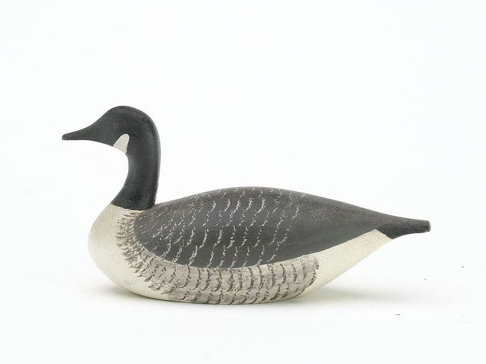 Joseph Lincoln – Canada Goose – 2024