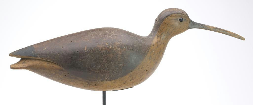 Cameron McIntyre – Curlew – 2023