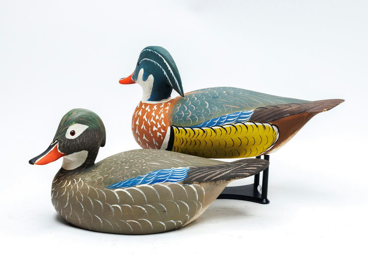 Fred Bradshaw – Wood Duck – 2026